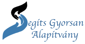 sgy_logo